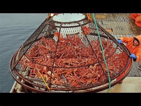 crab fisherman jobs|Becoming A Crab Fisherman: Crack the Code Of A Lucrative Career.